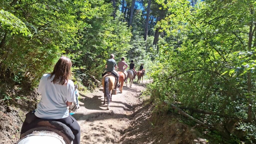 Cabalgatas en la Villa – Bosque Patagónico